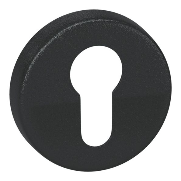 Afbeelding - https-www-ez-catalog-nl-Asset-a578249897df4c3bbb8ba7b153e076a8-ImageFullSize-2R12-WCX-BL-PC-rozet-zwart-jpg